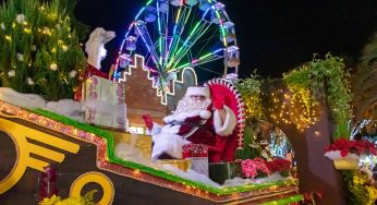 Voe para Campinas, a partir de R$ 303, e curta a magia do Natal de Holambra